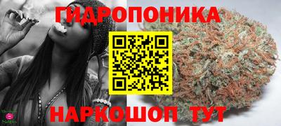 jwh Можга