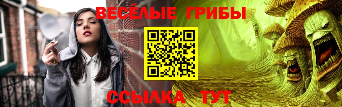 Тулун  Псилоцибиновые грибы Cubensis  Вход с VPN 