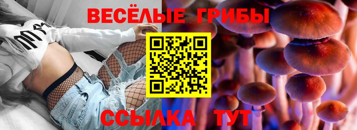 Галлюциногенные грибы Magic Shrooms Тулун